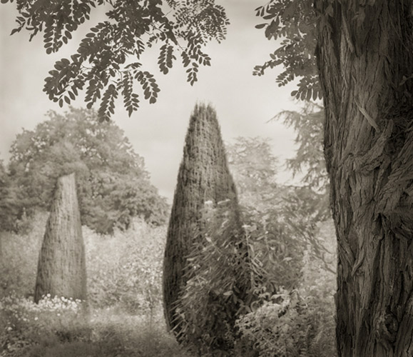 Trees, Hidcote ©Beth Dow
