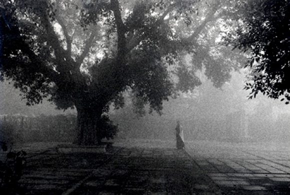 ©Felicia Murray