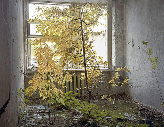 David McMillan Hotel room, October 2004 ©David McMillan