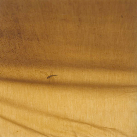©Anne Schwalbe