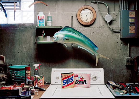 ©Leilani Wertens