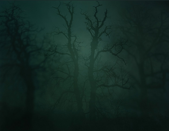 © Nicholas Hughes - Image #14, 2007