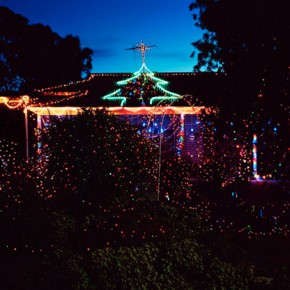 Trent Parke - The Christmas Tree Bucket