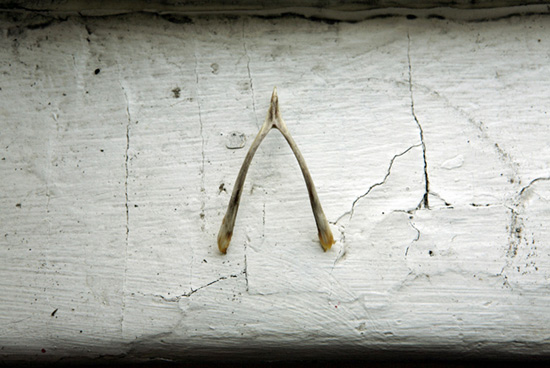 © Josée Pedneault