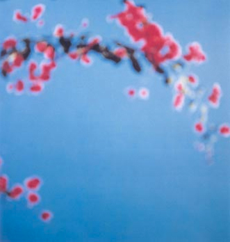 © Uta Barth, Untitled (Ground #9)