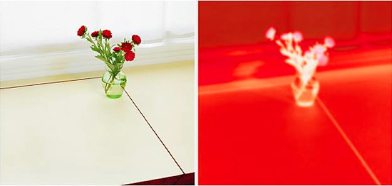 © Uta Barth, Untitled (05.3)