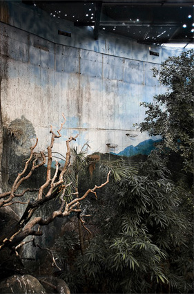 © Zhao Renhui - Thematic area, Spain