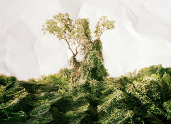 © Laura Plageman, Response to Print of Kudzu, Texas, 2010